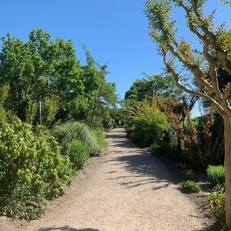 Les Pins, Terrasse, Piscine Et Jardin Clot, Vue Foret *